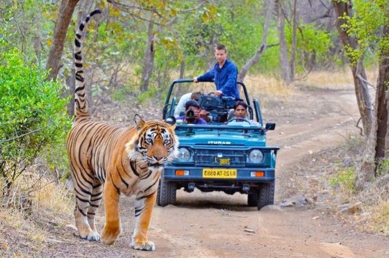 Agra to ranthambore cab service