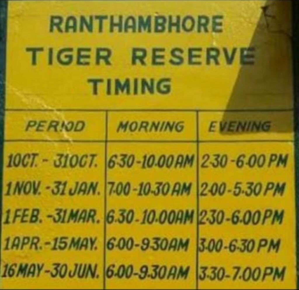 ranthambore safari time