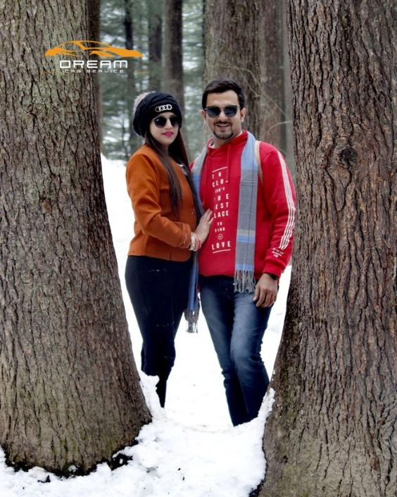 Manali local sightseeing