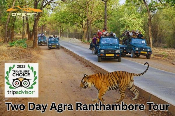 ranthambore