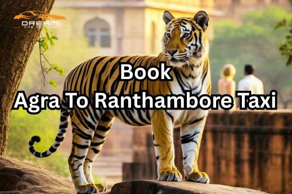 Agra To Ranthambore Taxi