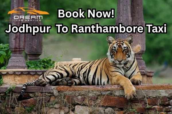 Jodhpur to Ranthambore Taxi